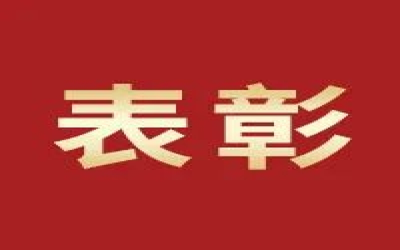 奮進(jìn)2023，這些集體和個(gè)人無(wú)上“榮”光
